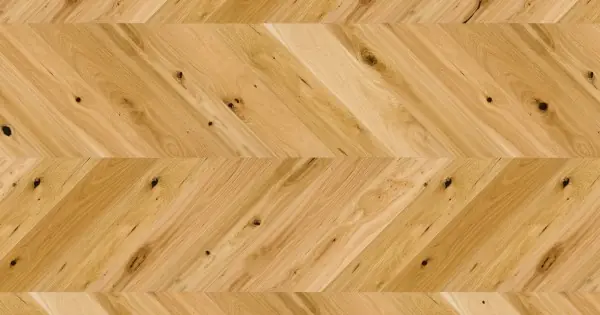 Barlinek Raisins Chevron Tölgy, matt-lakkozott francia halszálka parketta. 1WV000003 Alacsony ár
