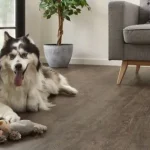 Árcsökkenés COREtec Essentials 1500 Jasper Oak 01 50LVR9601 klikkes vinyl padló int. parafa alátéttel