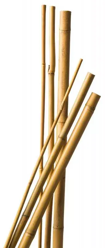 Bambusz növénytámasz 20-22 mm x 270 cm, 3 db/cs Exkluzív ajánlat