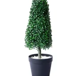 Műnövény gúla buxus cserépben kicsi, 64 cm Azonnali szállítás