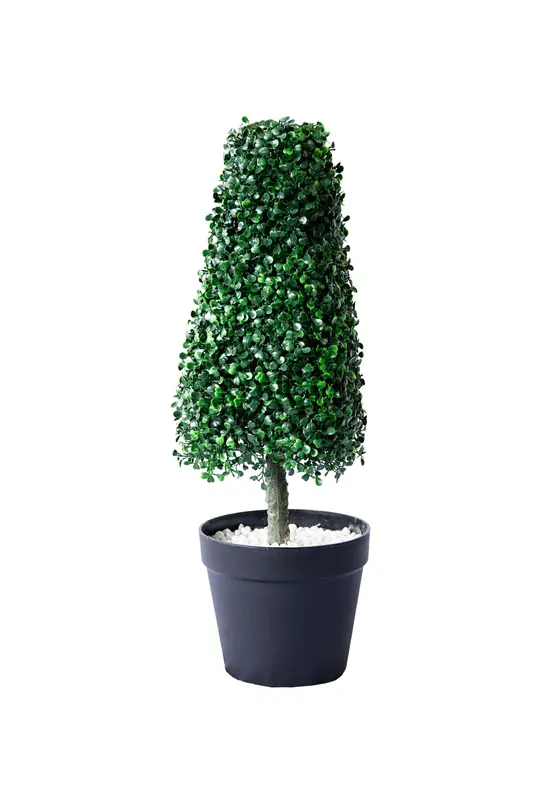Műnövény gúla buxus cserépben kicsi, 64 cm Azonnali szállítás