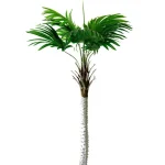 Műnövény Pálma fa 160 cm Kedvezmény