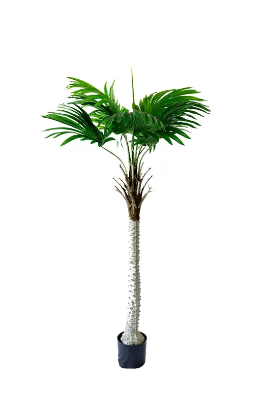 Műnövény Pálma fa 160 cm Kedvezmény