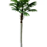 Műnövény Pálma fa 240 cm Legnépszerűbb