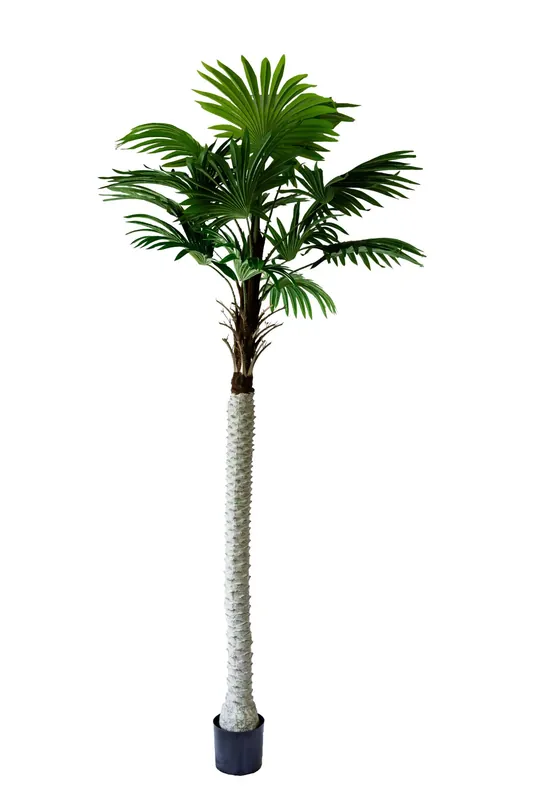Műnövény Pálma fa 240 cm Legnépszerűbb