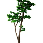 Műnövény Fenyő bonsai vékony 180 cm Végkiárusítás