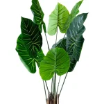 Műnövény Alocasia 120 cm Vedd meg online