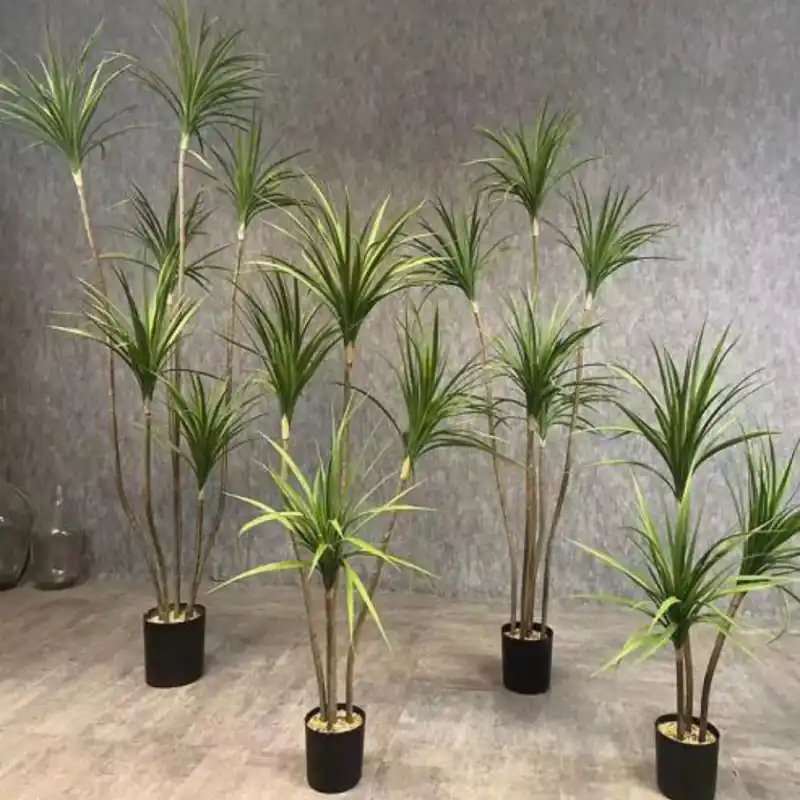 Azonnali szállítás Műnövény Yucca pálma 5 törzses 150 cm