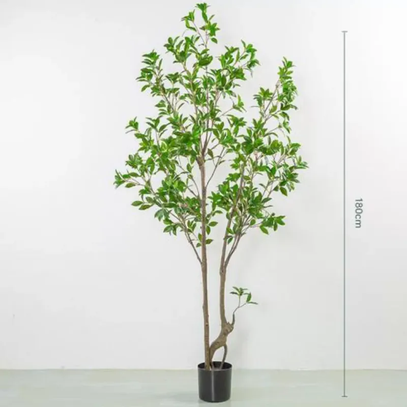 Műnövény japán kecskerágó 150 cm Vedd meg online