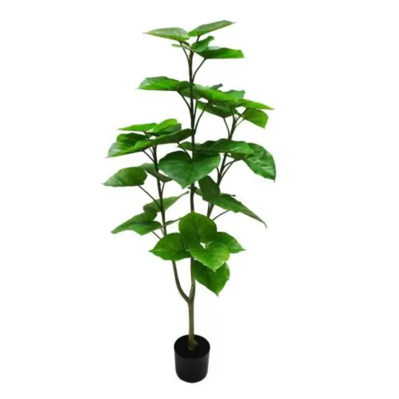 Műnövény Császárfa 120 cm Legjobb ár