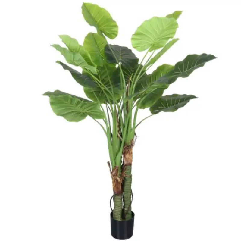 Szuper akció Műnövény Alocasia Amazonas fehér erezetű 150 cm