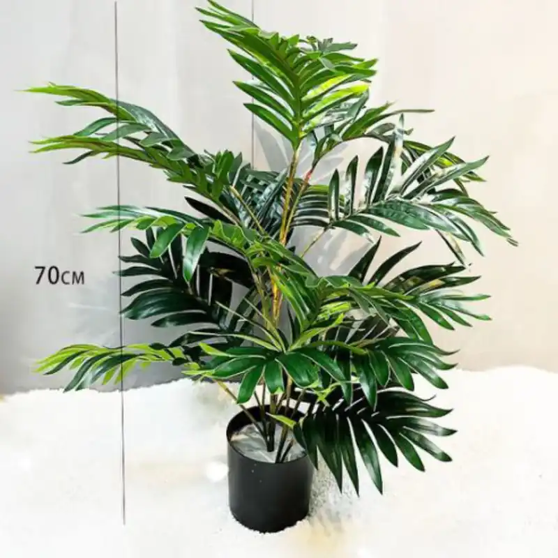 Műnövény Areca pálma 70 cm Utolsó esély