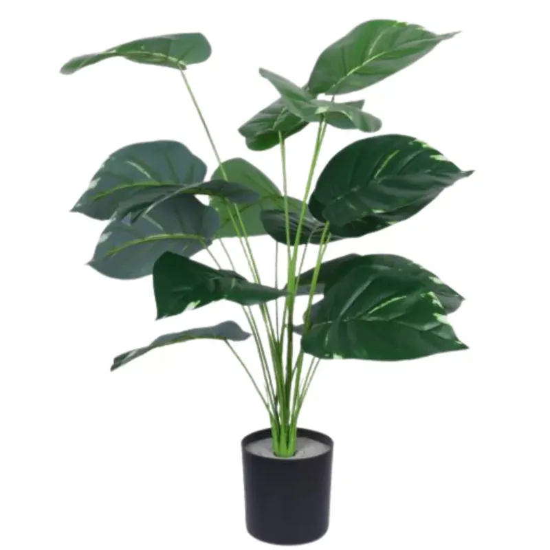 Népszerű Műnövény Filodendron 70 cm