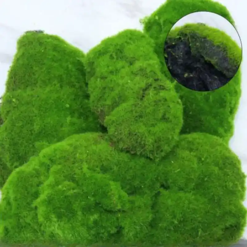 Műnövény moha csomag, 4db különböző méret Nézd meg most