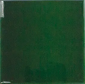 Equipe Evolution Victorian Green 15x15 Ne maradj le