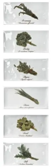 Biztonságos fizetés Artisan Herb Decor Mix 10x20 rusztikus metro csempe dekor