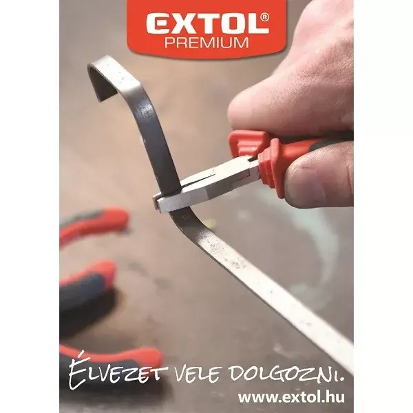 plakát, ExtolPremium, laposfogó, A2, Ingyenesen igényelhető! Ne maradj le